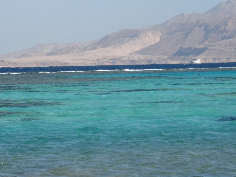 Schnorcheln in Tiran Insel